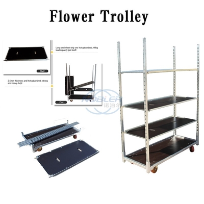 Volumen de ventas doblado rueda de la logística de las flores de la carretilla de la flor del envase 4 de la madera contrachapada