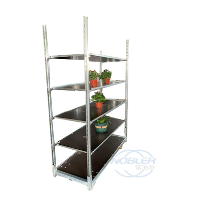 Carro holandés para plantas Carro danés Cc Contenedor rodante Carro danés Estante de envío de flores
