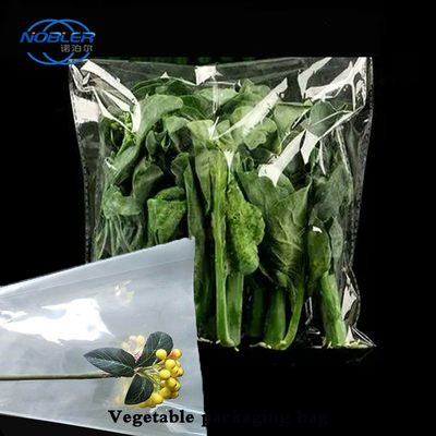 Múltiples especificaciones Bolsa de embalaje de vegetales personalizada con agujeros de aire