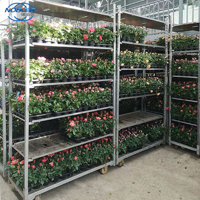 Contenedor estándar 1350 * 565 * 1900mm carro de flores de madera contrachapada Almacenamiento conveniente