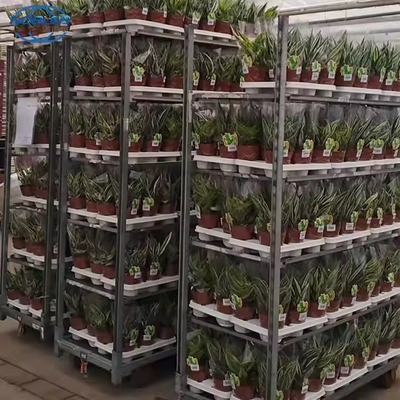 Invernadero de alta carga con revestimiento en polvo de carro de flores danés