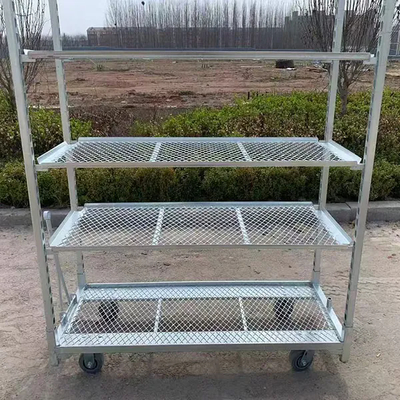 Carro de flores para plantación agrícola de 1350*565 mm con ruedas de polipropileno galvanizado en caliente, carros daneses para invernadero, carro de cosecha