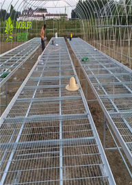 El jardín galvanizado caliente de los bancos del invernadero que planta la tabla crece la cama
