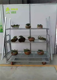 Tipo de visualización madera contrachapada montura de carro de flores danés Prevención de la oxidación conveniente