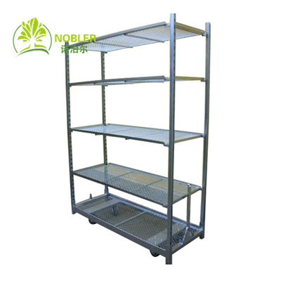 Inmersión caliente de la hoja de Mesh Dutch Flower Trolley Metal del metal que galvaniza