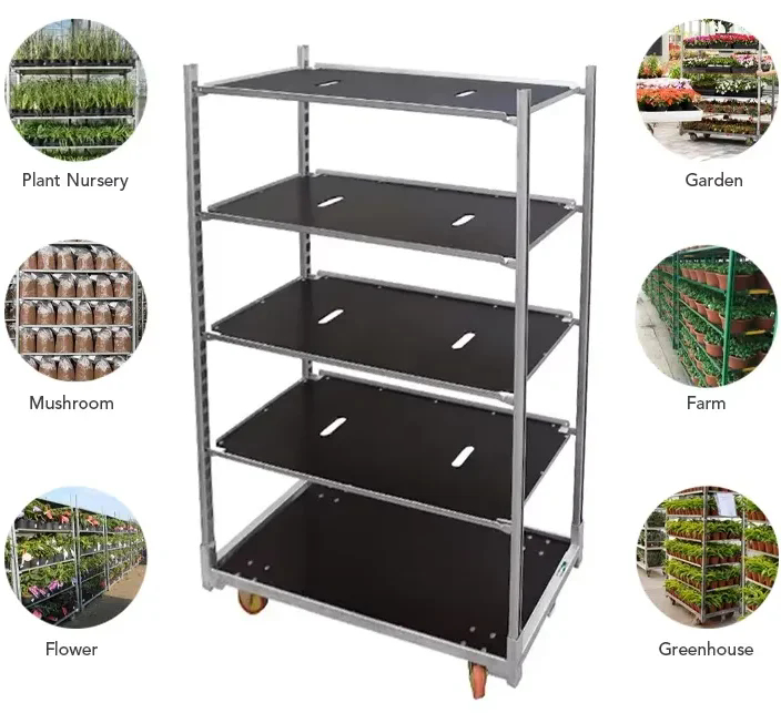 Carros daneses para plantación agrícola con recubrimiento en polvo para la cosecha en invernaderos