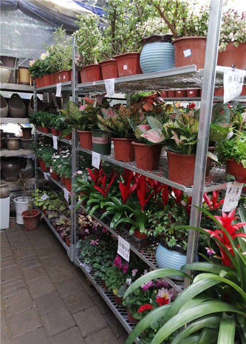 Estantes de supermercado danés de 3 niveles con postes de 1.8x1800 mm y 4 ruedas giratorias