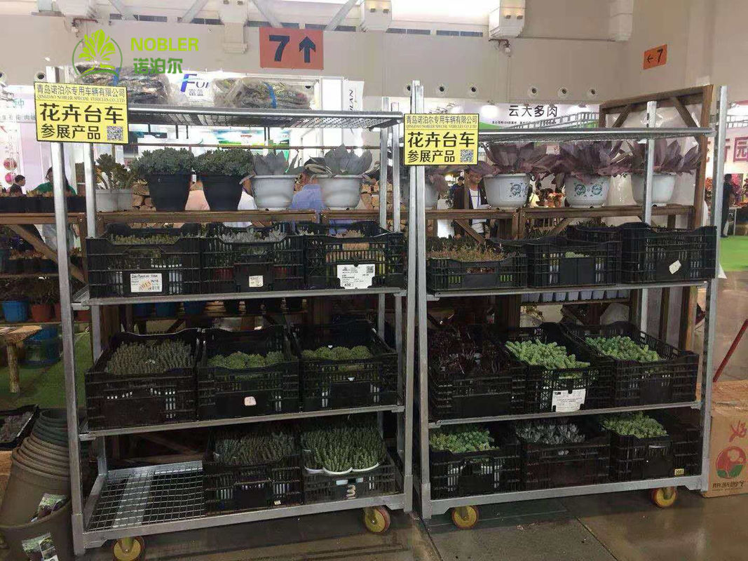 Contenedores CC de plástico sin BPA para almacenamiento y transporte de alimentos